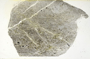 Plane Polarized, S89696