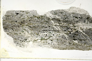 Plane Polarized, S89697