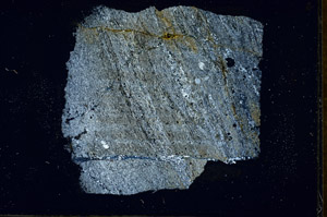 Cross Polarized, S89698
