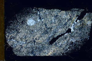 Cross Polarized, S89699