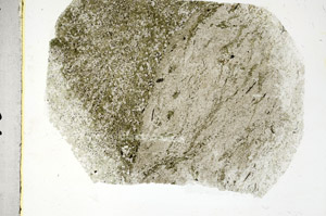 Plane Polarized, S89706