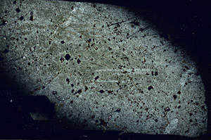 Cross Polarized, S89707
