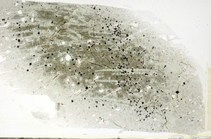 Plane Polarized, S89707