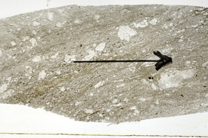 Plane Polarized, S89710