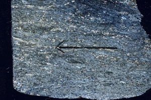 Cross Polarized, S89711