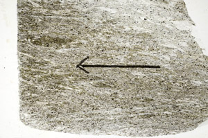 Plane Polarized, S89711
