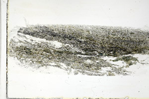 Plane Polarized, S89713
