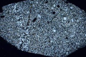 Cross Polarized, S89715