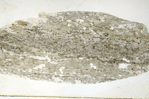 Plane Polarized, S89717