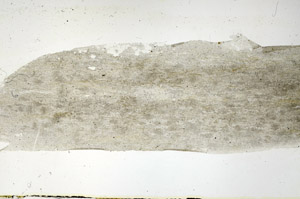 Plane Polarized, S89718