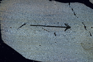 Cross Polarized, S89719