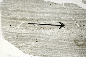 Plane Polarized, S89719
