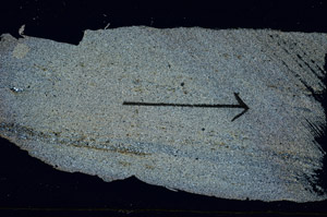 Cross Polarized, S89720