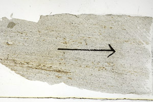 Plane Polarized, S89720