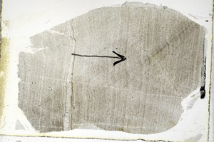 Plane Polarized, S89721