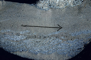 Cross Polarized, S89722