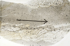Plane Polarized, S89722