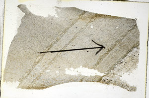 Plane Polarized, S89723