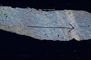 Cross Polarized, S89724