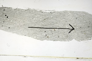 Plane Polarized, S89724