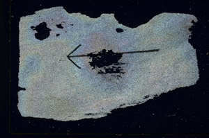 Cross Polarized, S89725