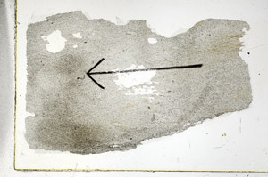 Plane Polarized, S89725