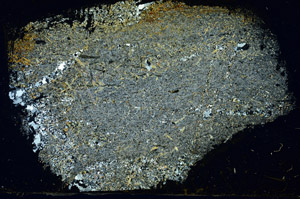 Cross Polarized, S89726
