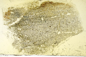 Plane Polarized, S89726