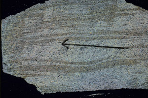 Cross Polarized, S89727