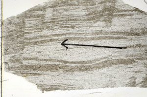 Plane Polarized, S89727