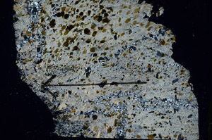 Cross Polarized, S89728