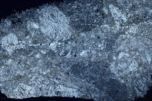Cross Polarized, S89729