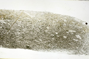 Plane Polarized, S89731