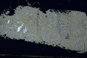 Cross Polarized, S89732