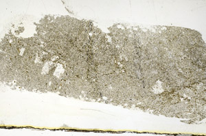 Plane Polarized, S89732