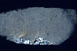 Cross Polarized, S89735