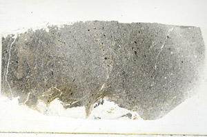 Plane Polarized, S89735