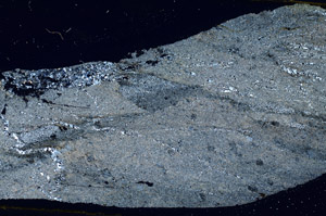 Cross Polarized, S89736