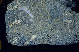 Cross Polarized, S89737