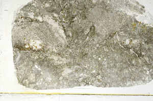 Plane Polarized, S89737