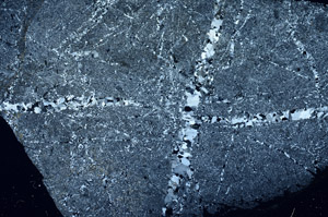 Cross Polarized, S89738