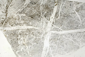 Plane Polarized, S89738
