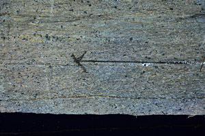 Cross Polarized, S89743