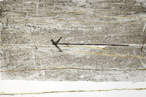Plane Polarized, S89743