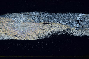 Cross Polarized, S89744