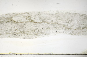 Plane Polarized, S89744
