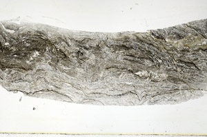Plane Polarized, S89746