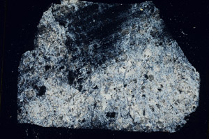 Cross Polarized, S89747