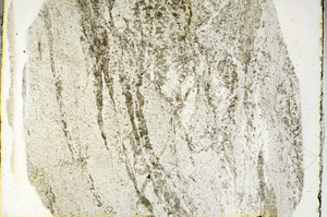 Plane Polarized, S89750