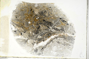 Plane Polarized, S89751